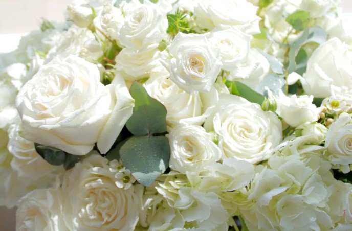 Почему важно дарить цветы родителям, даже без повода